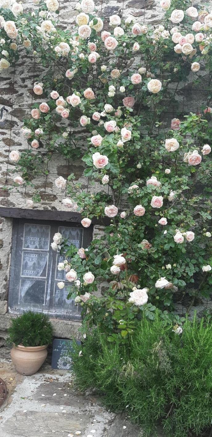 Louradou-Sur-Ciel Bed & Breakfast Jouqueviel Exterior photo